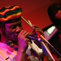 Bongo Reggae (20071209 0035)